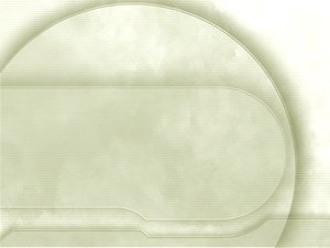 内控体系